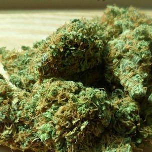 Cannabis für medizinische Zwecke legalisiert