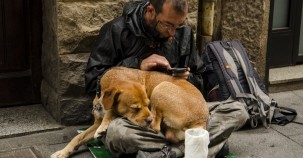 Tierheim in Bonn nimmt über Nacht Tiere von Obdachlosen auf
