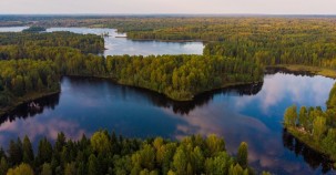 Russlands Wälder wachsen schnell 