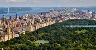 Stadtgrün nimmt mehr Kohlendioxid auf als erwartet 